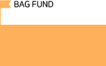 BAG FUND : 2015년도 9월~2017년도 3월